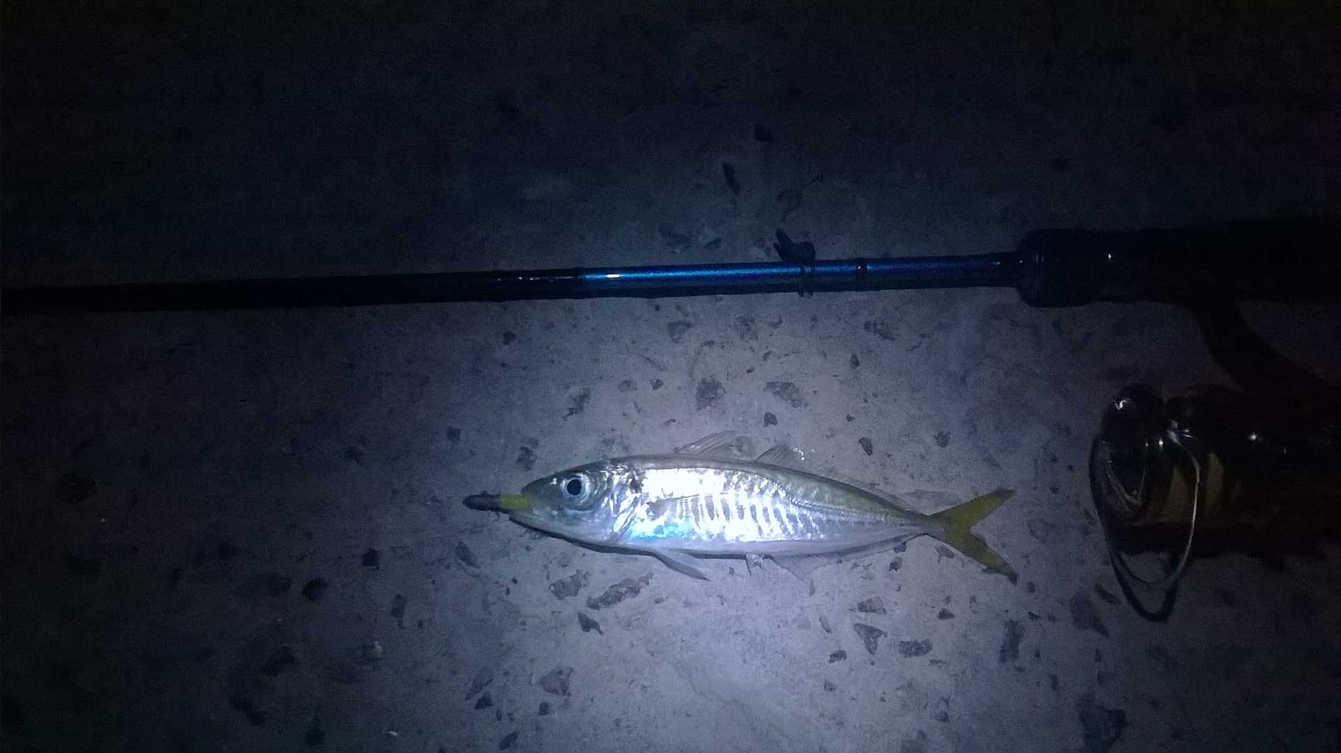 Это ночная рыбалка на скалах