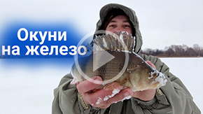 На окуня в декабре: видео рыбалка с противовесами и блеснами