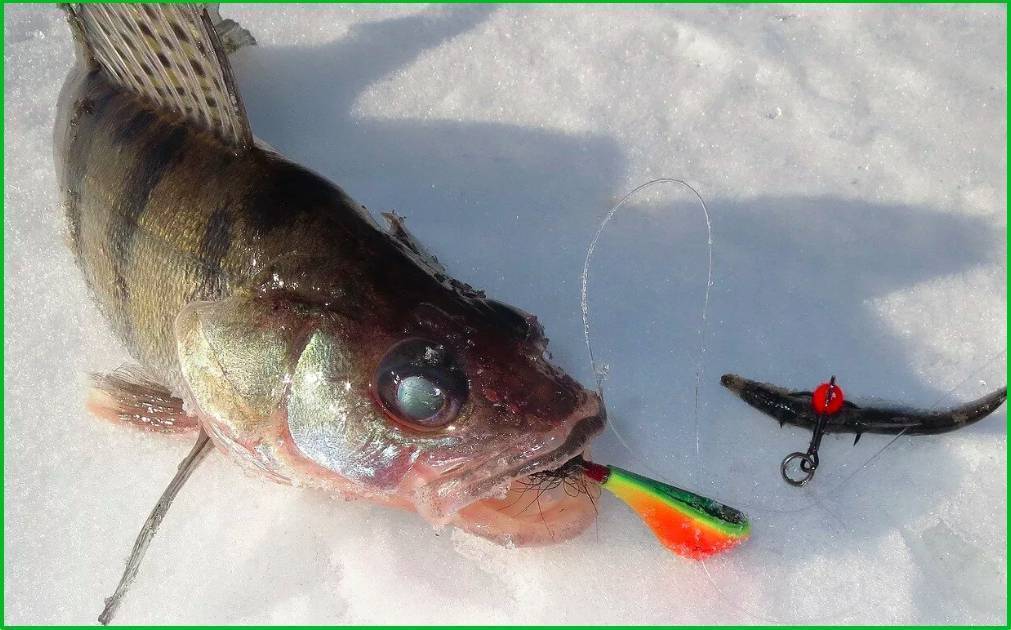 Бокоплав для зимней рыбалки: особенности изготовления приманок на окуня и судака