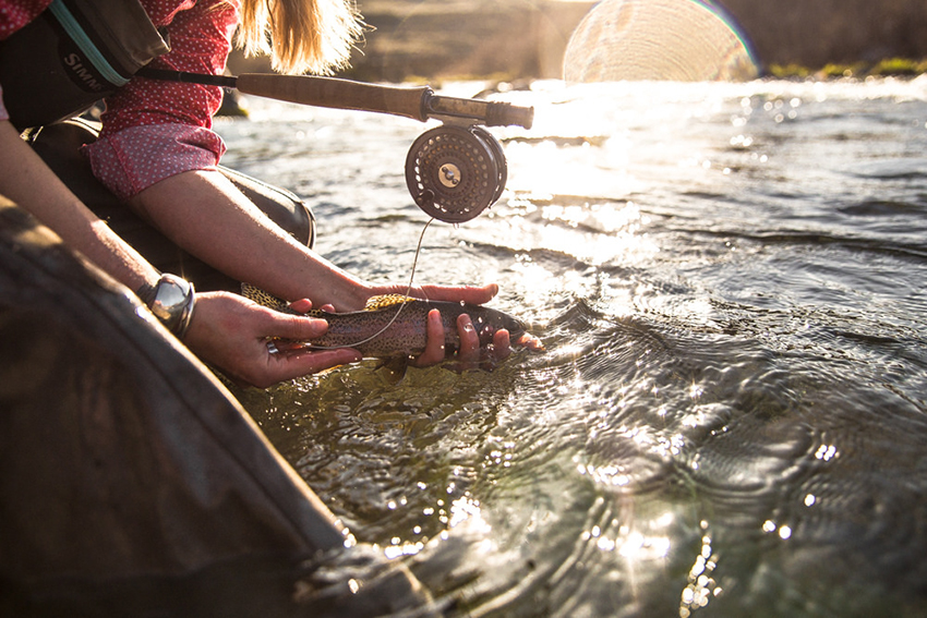 Снасти для ловли рыбы нахлыстом для начинающих. Как сделать правильный выбор