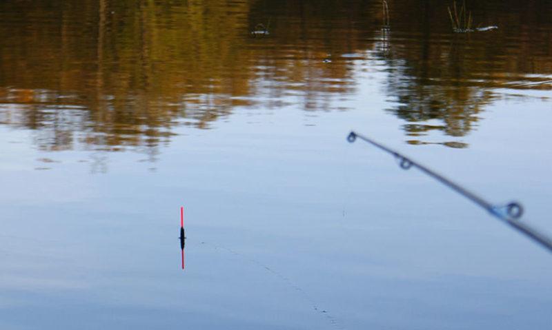 Рыбалка с поплавковой удочкой в ​​стоячей воде