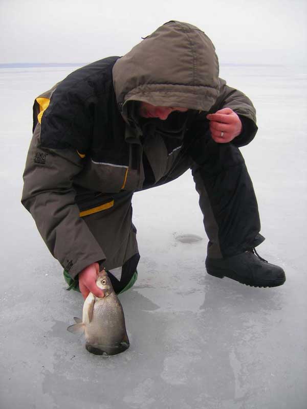 Зимняя рыбалка на леща на рокере