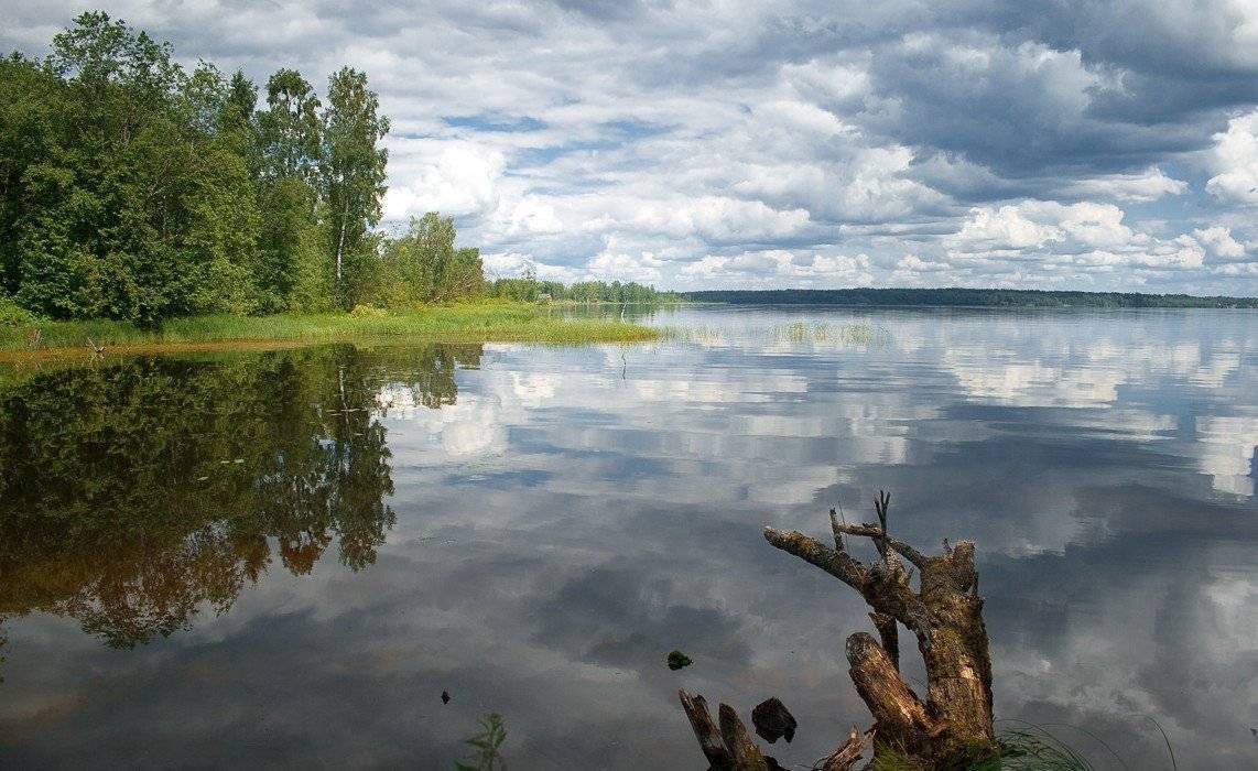 Рыбалка в Ленинградской области. Еще 8