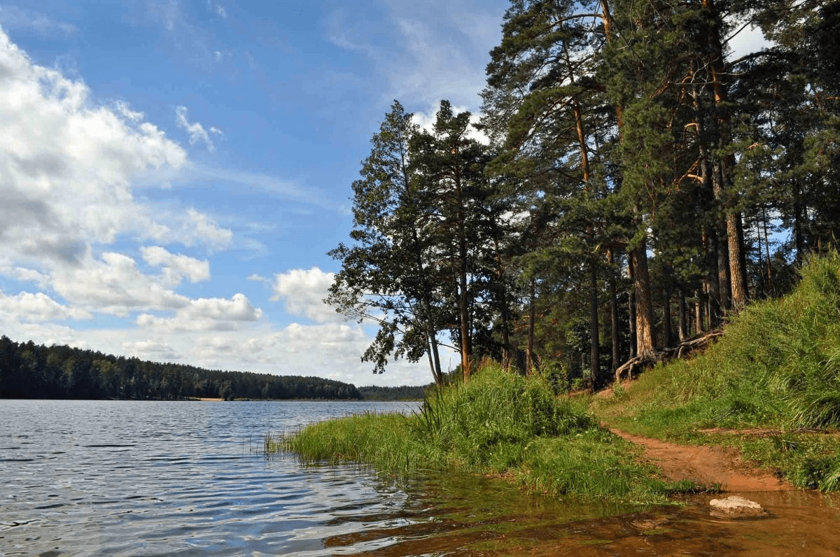 12 самых доступных мест для рыбалки в Ленинградской области