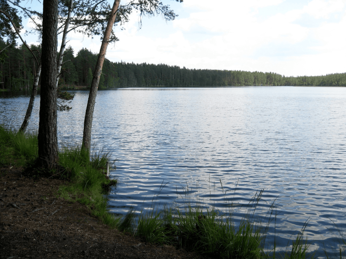 12 самых доступных мест для рыбалки в Ленинградской области