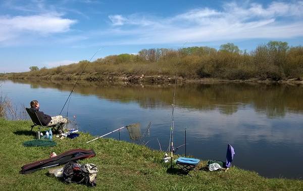 12 лучших бесплатных мест для рыбалки в Липецкой области 4