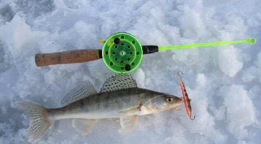 Зимняя рыбалка на балансир: как выбрать самые эффектные, как поймать и подготовить удочки