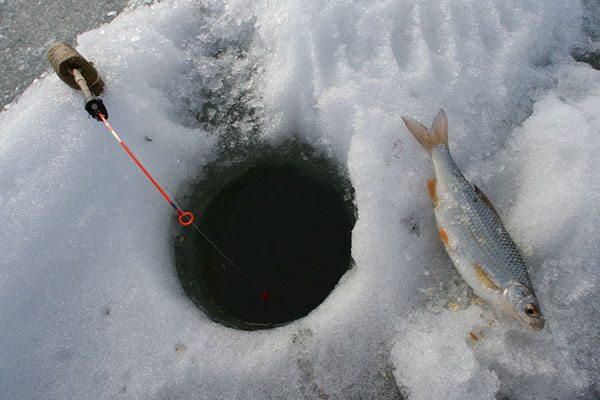 Зимняя рыбалка на нюхательную удочку