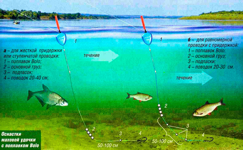 Ловля плотвы на поплавочную удочку: виды оснастки, поиск и тактика рыбалки