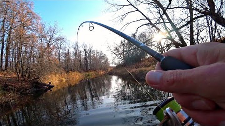 Рыбалка в ноябре на щуку на спиннинг: где смотреть, когда клюнет, наживка