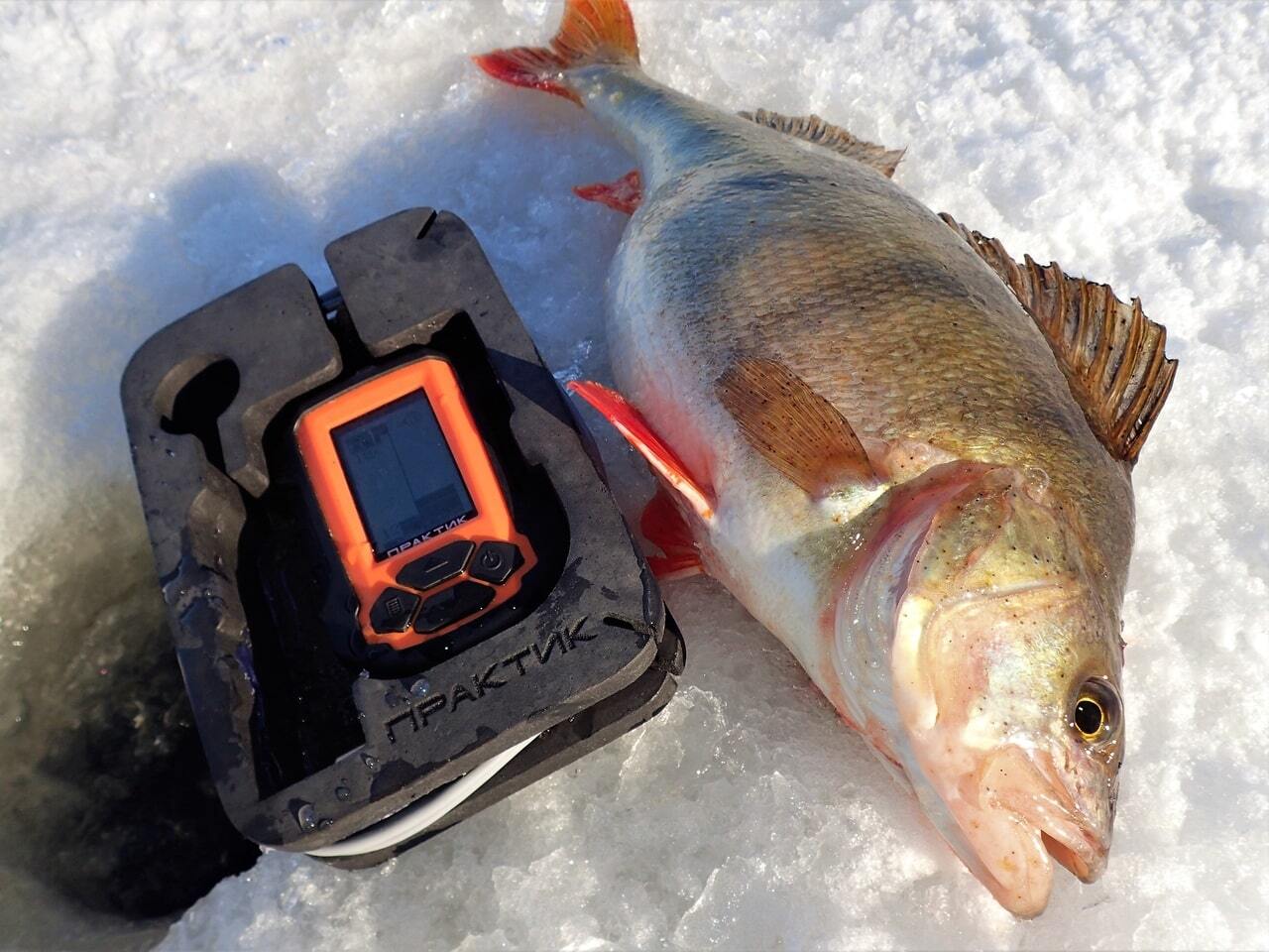 Рыбалка зимой на течении - поисковая тактика реки, снаряжение, кормление