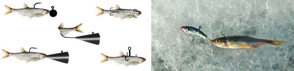 Зимняя ловля судака: лучшие способы ловли и снаряжение