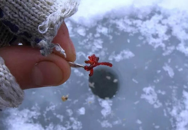 Зимняя рыбалка на мормышку, способы + видео