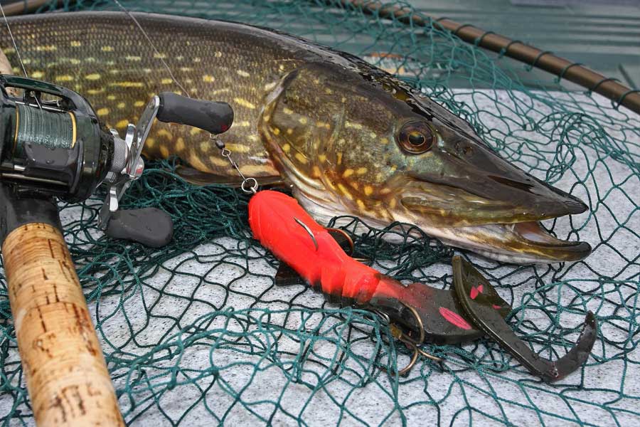 Рыбалка на щуку с шаткой: что лучше выбрать? характеристики и техника ловли