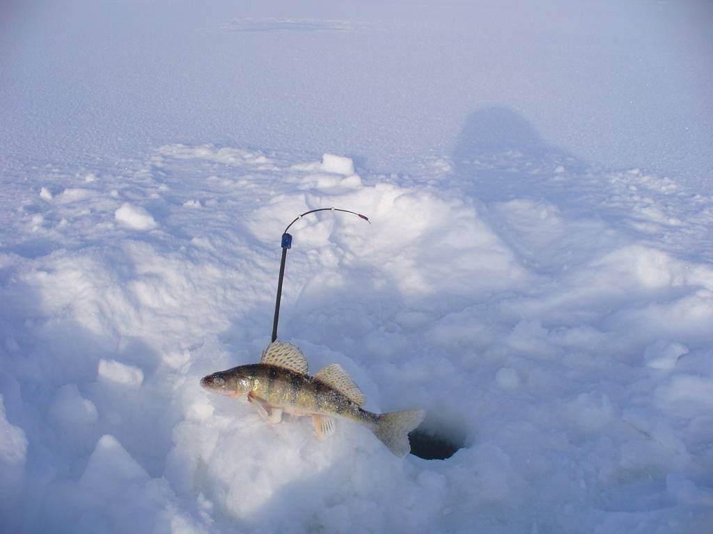 Зимняя рыбалка на пирсе с тележками и приспособлениями