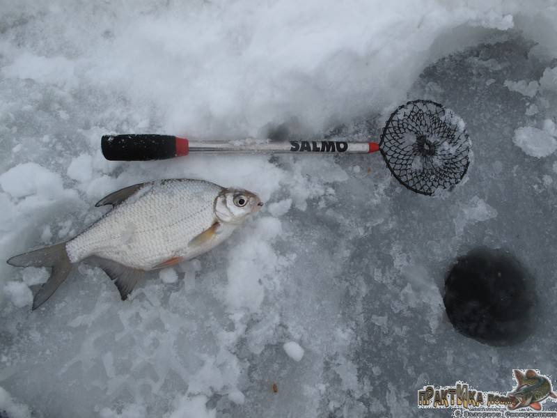 Рыболовные снасти для зимней рыбалки на щуку судака окуня леща для начинающих
