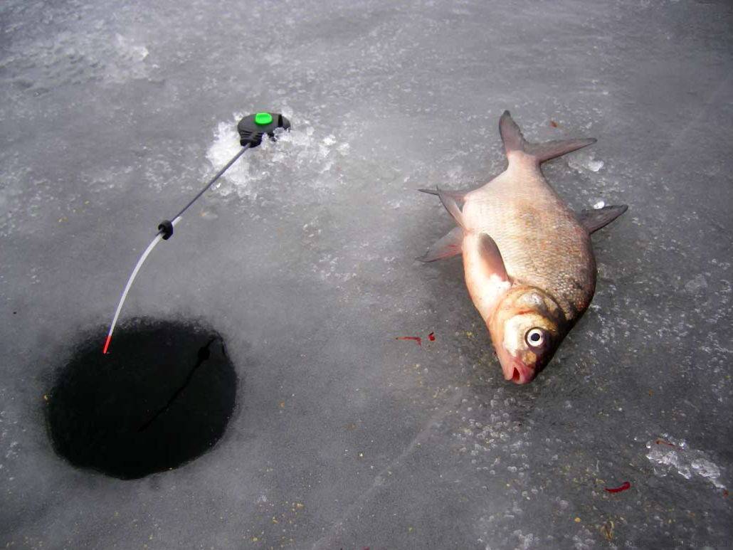 Зимняя рыбалка на плотву