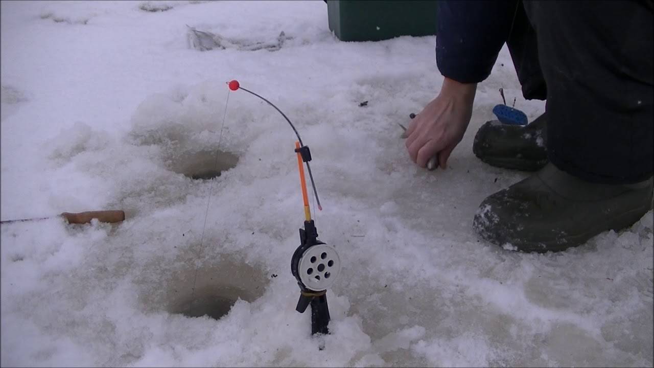 Донк зимой: как делать, техника ловли зимой донной снастью