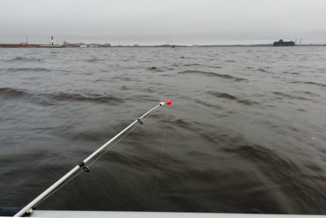 Пахло от рыболовных снастей в Финском заливе