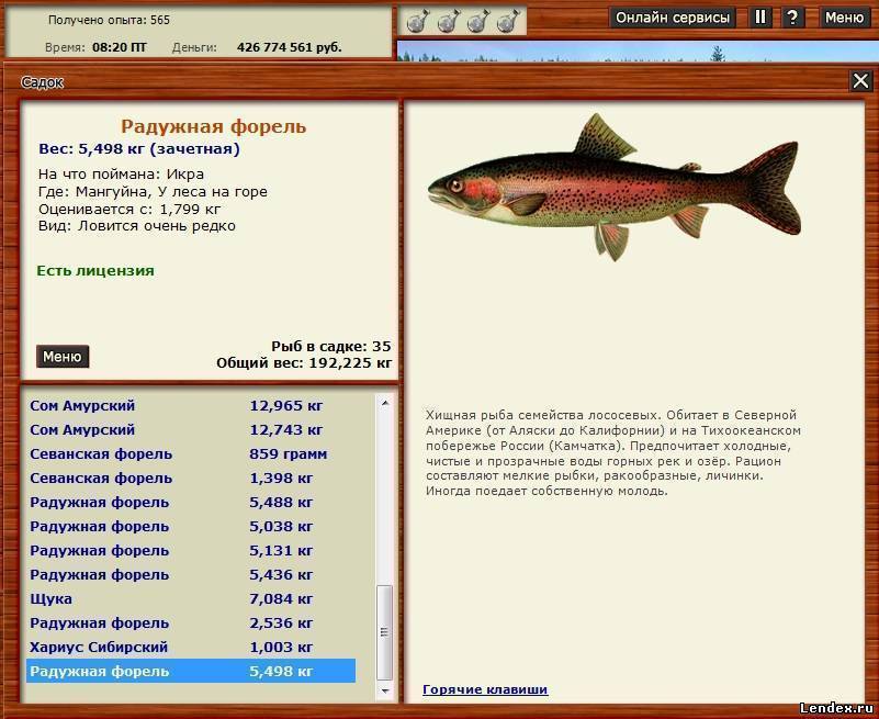 Рыбалка на вуоксе - базы на Русском озере, отзывы