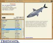 Русская рыбалка на Вуоксе - особенности зимней рыбалки и на что ловить