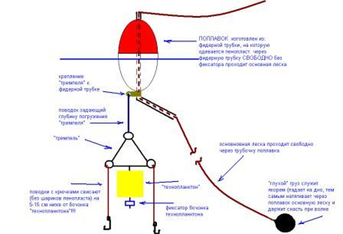 Ловля толстолобика на технопланктон - снасть, состав и рецепты