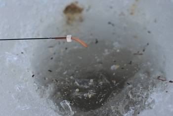 Ловля уклейки зимой ~ как ловить уклейку на мормышку со льда