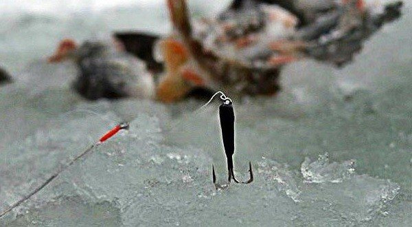 Хитрости ловли окуня на безмотылку по первому льду – техника проводки и поиск