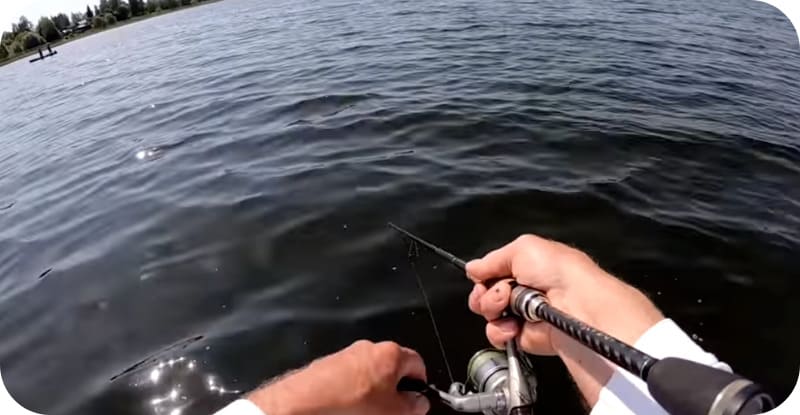 Рыболовная сбруя