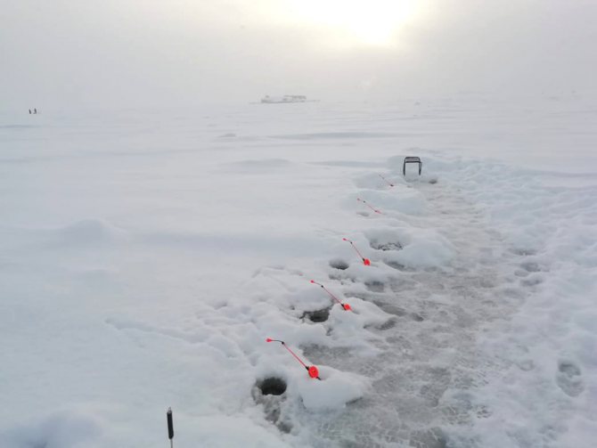 Зимой пахло рыбной ловлей в Финском заливе