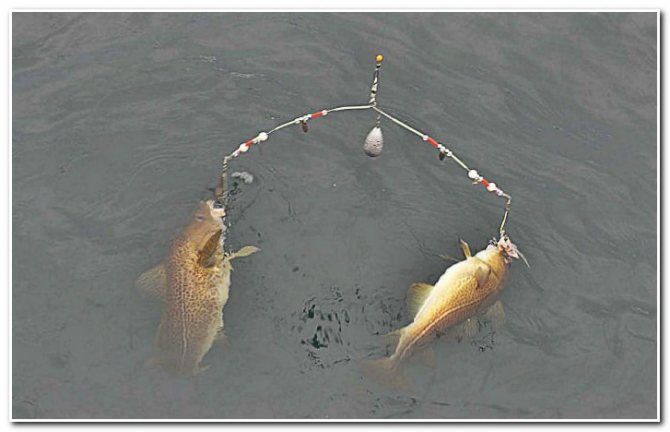 зимняя рыбалка на коромысло