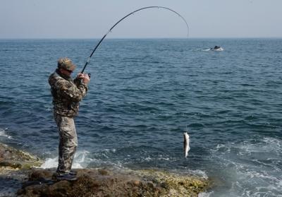 Уловки на рыбалке: поймать хищника на поводке