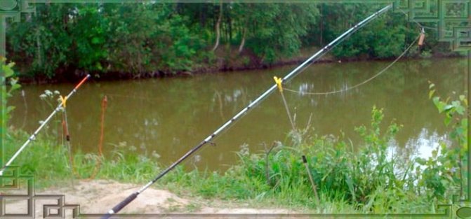 Рыбалка с донной удочкой