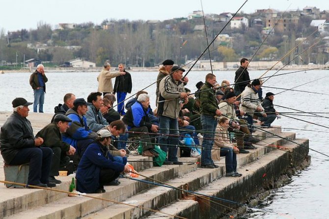 Толпа рыбаков с удочками на пирсе
